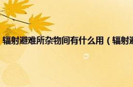 辐射避难所杂物间有什么用（辐射避难所杂物有什么用相关内容简介介绍）