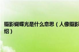 摄影蝴蝶光是什么意思（人像摄影中蝴蝶光是怎么用法的的相关内容简介介绍）