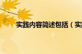 实践内容简述包括（实践内容相关内容简介介绍）