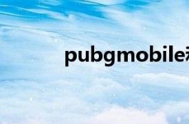 pubgmobile和pubg什么关系