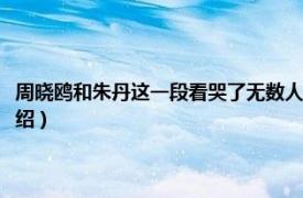 周晓鸥和朱丹这一段看哭了无数人（周晓鸥与朱丹什么关系相关内容简介介绍）