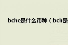 bchc是什么币种（bch是什么币种相关内容简介介绍）