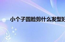 小个子圆脸剪什么发型好看（圆脸剪什么发型好看）