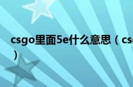 csgo里面5e什么意思（csgo5e什么意思相关内容简介介绍）