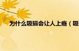 为什么吸猫会让人上瘾（吸猫上瘾原理相关内容简介介绍）