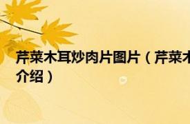 芹菜木耳炒肉片图片（芹菜木耳炒肉最正宗的做法相关内容简介介绍）