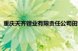 重庆天齐锂业有限责任公司田炫（重庆天齐锂业有限责任公司）