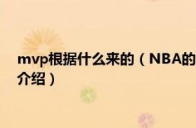 mvp根据什么来的（NBA的MVP是怎么选出来的相关内容简介介绍）