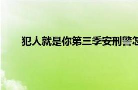 犯人就是你第三季安刑警怎么没了（犯人就是你第三季）