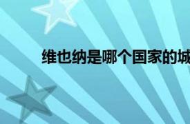 维也纳是哪个国家的城市（维也纳在哪个国家?）