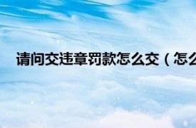 请问交违章罚款怎么交（怎么交违章罚款相关内容简介介绍）