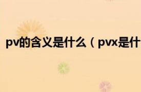 pv的含义是什么（pvx是什么意思剑三相关内容简介介绍）