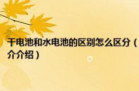 干电池和水电池的区别怎么区分（水电池和干电池的区别是什么相关内容简介介绍）