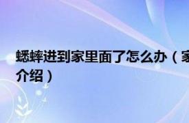 蟋蟀进到家里面了怎么办（家里进了蟋蟀怎么赶走相关内容简介介绍）