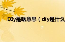 DIy是啥意思（diy是什么意思中文相关内容简介介绍）