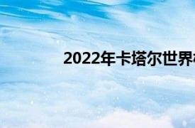 2022年卡塔尔世界杯亚洲区预选赛积分榜