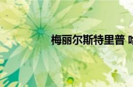 梅丽尔斯特里普 哈维（梅尔文哈瑞斯）