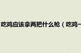 吃鸡应该拿两把什么枪（吃鸡一般带哪两把枪相关内容简介介绍）