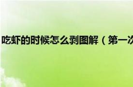 吃虾的时候怎么剥图解（第一次吃虾怎么剥虾相关内容简介介绍）