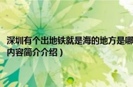 深圳有个出地铁就是海的地方是哪里（深圳出地铁就是海是哪个地铁站相关内容简介介绍）