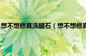 想不想修真洗髓石（想不想修真玉髓石哪里刷相关内容简介介绍）