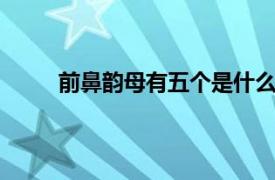 前鼻韵母有五个是什么（前鼻韵母5个是哪几个）