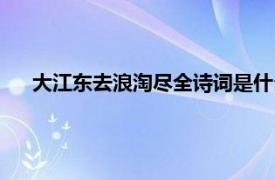 大江东去浪淘尽全诗词是什么意思（大江东去浪淘尽全诗）