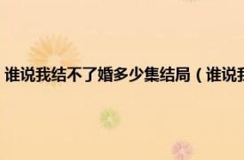 谁说我结不了婚多少集结局（谁说我结不了婚分集剧情相关内容简介介绍）