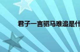 君子一言驷马难追是什么意思君子一言驷马难追