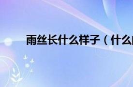 雨丝长什么样子（什么的雨丝相关内容简介介绍）