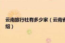 云南旅行社有多少家（云南省十大旅行社是哪些相关内容简介介绍）