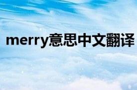 merry意思中文翻译（merry me中文意思）