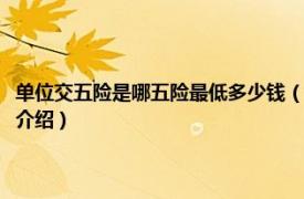 单位交五险是哪五险最低多少钱（公司交五险最低标准是多少相关内容简介介绍）