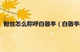 粉丝怎么称呼白敬亭（白敬亭的粉丝叫什么相关内容简介介绍）