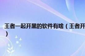 王者一起开黑的软件有啥（王者开黑组队的软件都有哪些相关内容简介介绍）