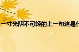 一寸光阴不可轻的上一句这是什么歌（一寸光阴不可轻的上一句）