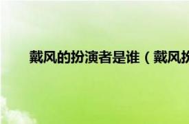 戴风的扮演者是谁（戴风扮演者是谁相关内容简介介绍）