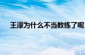 王濛为什么不当教练了呢（王濛为什么不当教练了？）