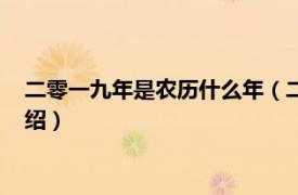 二零一九年是农历什么年（二零一九年是什么年相关内容简介介绍）