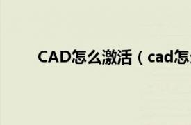 CAD怎么激活（cad怎么激活相关内容简介介绍）