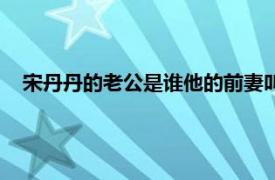 宋丹丹的老公是谁他的前妻叫什么名字（宋丹丹的老公是谁）