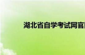 湖北省自学考试网官网（湖北省自学考试网）