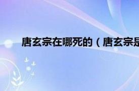 唐玄宗在哪死的（唐玄宗是怎么死的相关内容简介介绍）