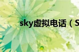 sky虚拟电话（SKY 网络电话软件）