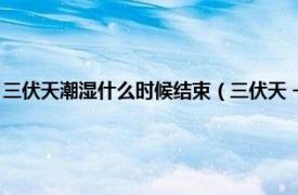 三伏天潮湿什么时候结束（三伏天 一年中气温最高且又潮湿、闷热的时段）