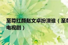 至尊红颜赵文卓扮演谁（至尊红颜 2003年贾静雯、赵文卓主演电视剧）