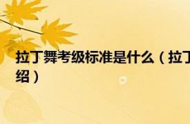 拉丁舞考级标准是什么（拉丁舞考级国家承认吗相关内容简介介绍）