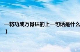 一将功成万骨枯的上一句话是什么生肖（一将功成万骨枯的上一句话是什么）