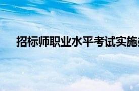 招标师职业水平考试实施办法（招标师职业水平考试）