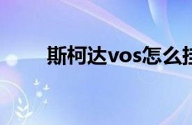 斯柯达vos怎么挂挡（斯柯达VOS）